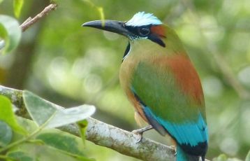 Costa Rica Rundreisen 15 Tage ab 0 &euro;