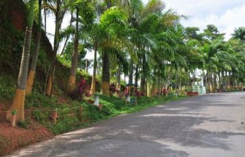 Pereira Seniorenreisen 0 Tage ab 0 &euro;