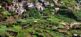 Wandern auf Madeira Studientours 5