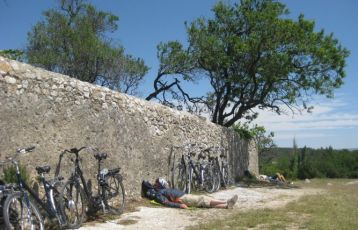 Avignon Radreisen 8 Tage ab 1.850 &euro;