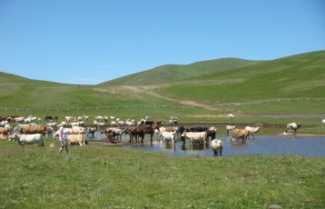 Ascoli Piceno Aktiv- und Sportreisen 7 Tage ab 1.060 &euro;