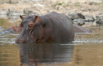 Kamerun Rundreisen 19 Tage ab 3.980 &euro;