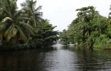 Sri Lanka Rundreisen 15 Tage ab 1.885 &euro;