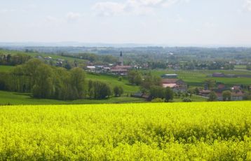 Bayern Singlereisen 7 Tage ab 0 &euro;