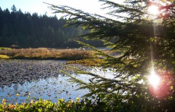 Calgary Rundreisen 11 Tage ab 0 &euro;