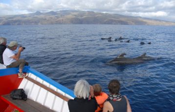 Valle Gran Rey Nachhaltiges Reisen 7 Tage ab 999 &euro;