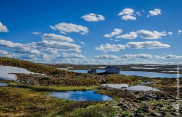 Wildes Mittelschweden