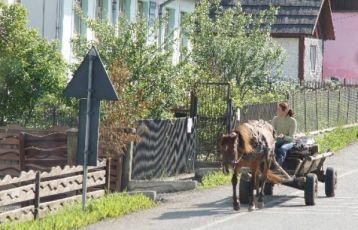 Bukarest Studienreisen 8 Tage ab 0 &euro;